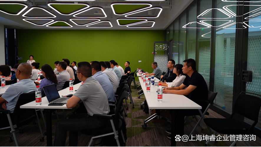 坤睿咨詢 以專業(yè)戰(zhàn)略咨詢，護航企業(yè)可持續(xù)發(fā)展